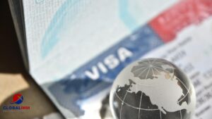 Visa 188 mang lại cơ hội làm việc và định cư cao cho người sở hữu