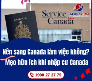 có nên sang Canada làm việc